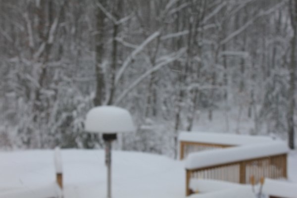 New Camera Dec2010 360